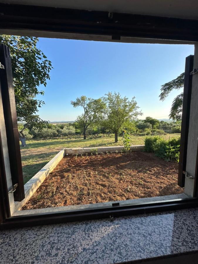 Relax And Unwind: Family-Friendly House Near Zadar In Zagradヴィラ エクステリア 写真